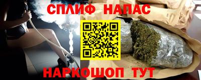 крисы Кулебаки