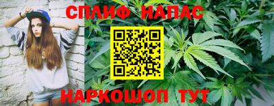гидропоника Гусиноозёрск